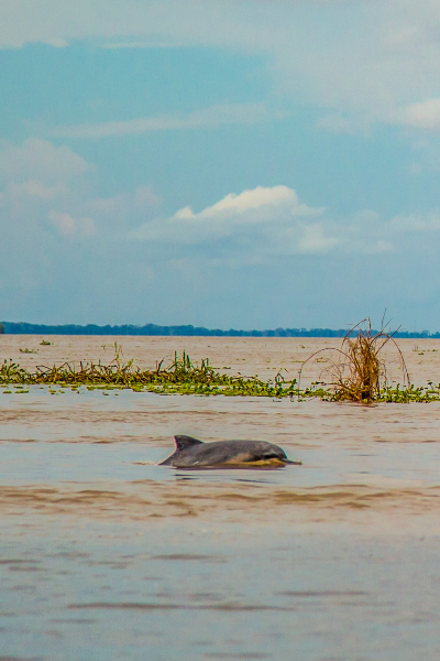 Travelblog_Amazonas_JaimePorElMundo